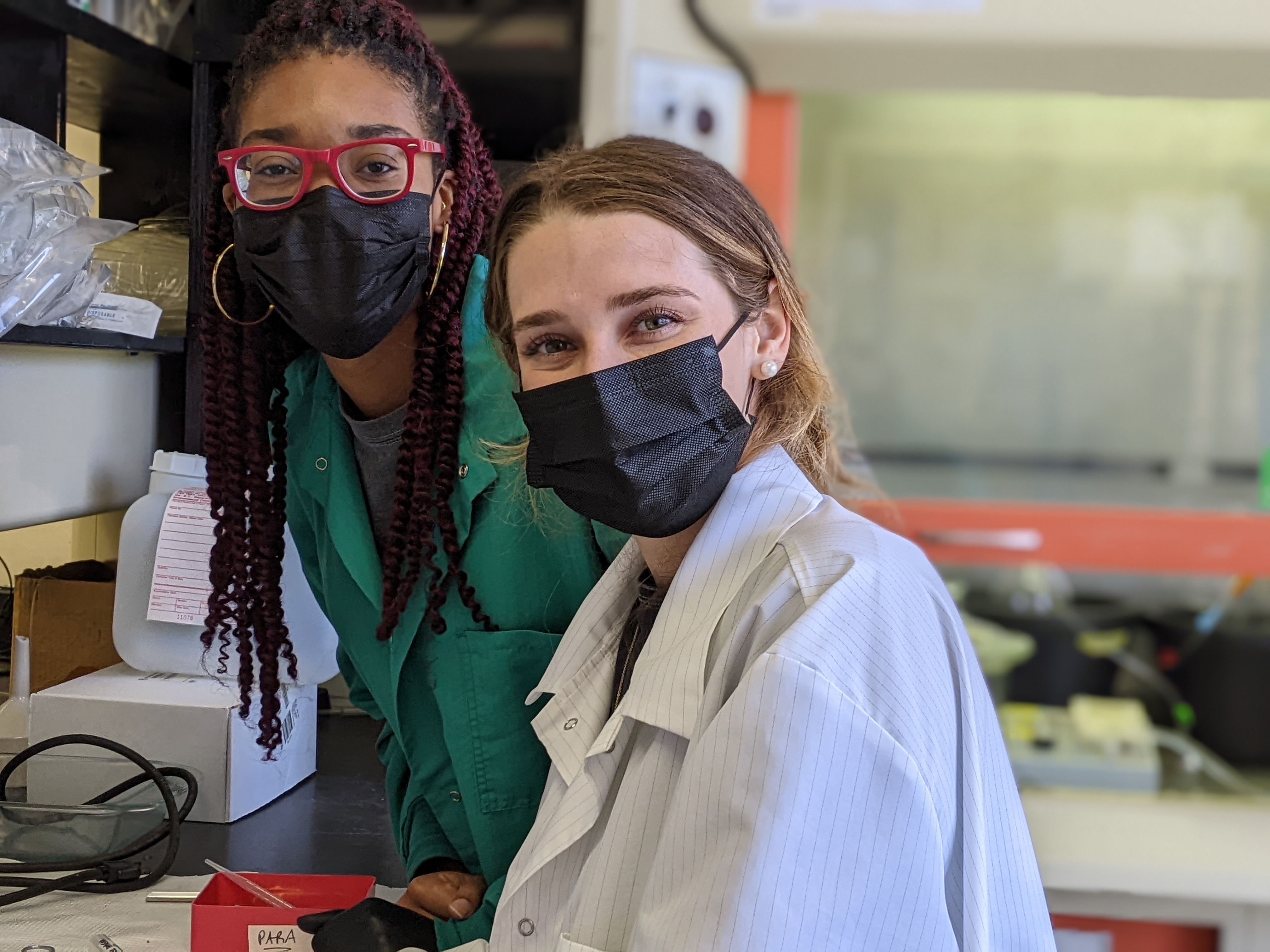 Immunohistochemistry